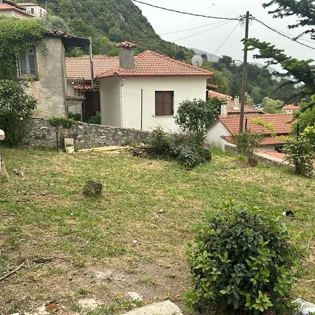 Apartment Traditional Stone House - Dimitsana
